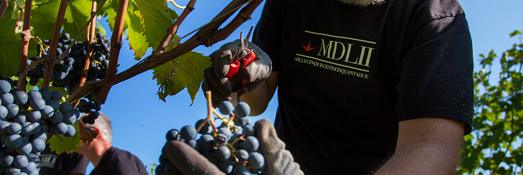 federico-portacci-web-graphic-designer-torino-copertina-progetto-comincioli-copertina