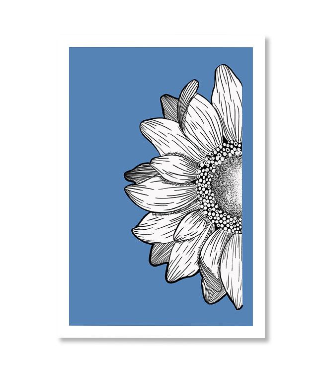 Girasole